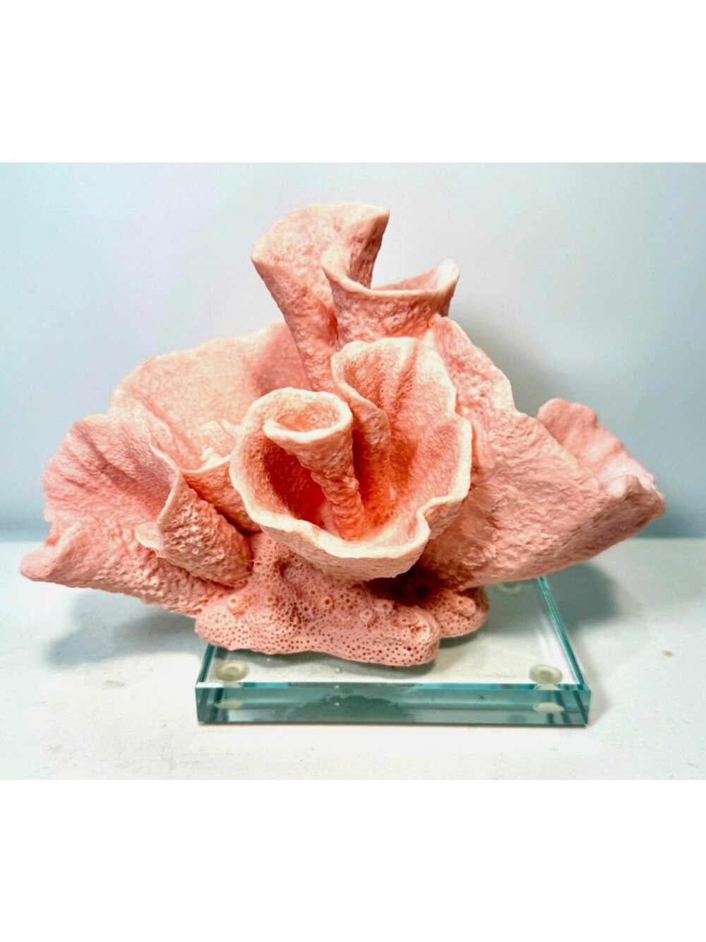 Faux Pink Cup Coral Display Coral Decoration On Decor Clear Glass Base